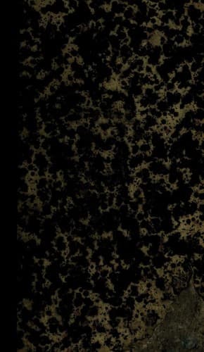 Book cover: A Place in the Sun by R.S. Grey